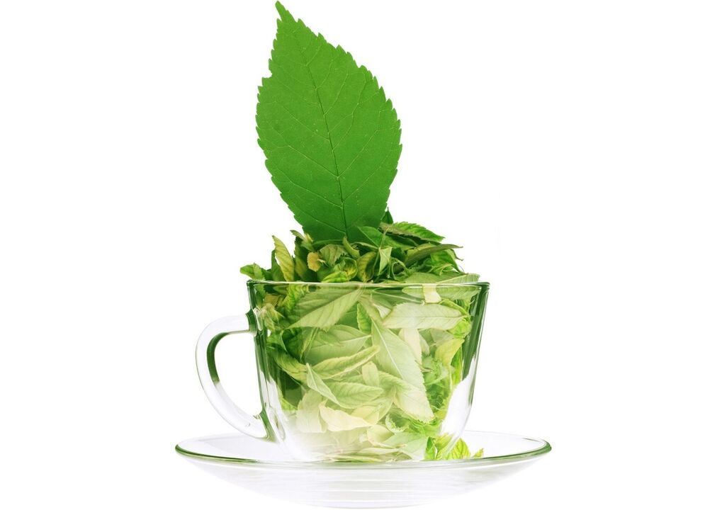 green tea against varicose veins